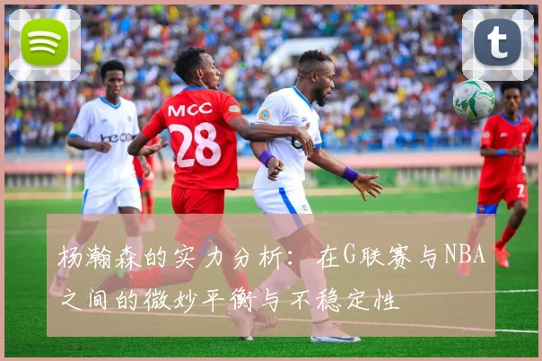 杨瀚森的实力分析：在G联赛与NBA之间的微妙平衡与不稳定性