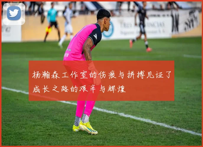杨瀚森工作室的伤痕与拼搏见证了成长之路的艰辛与辉煌